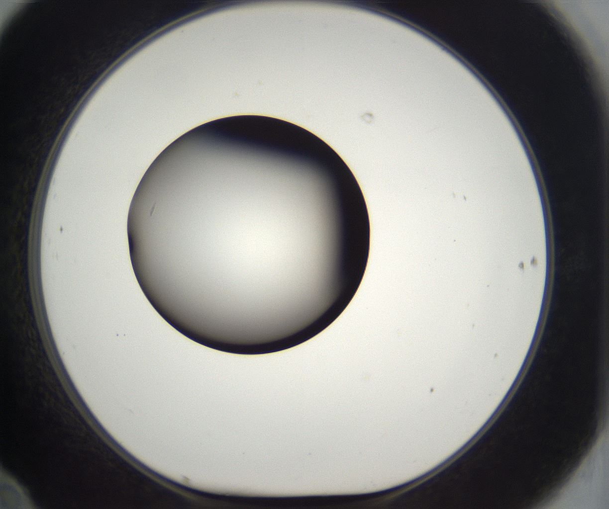 folderID296_plateID2296_batchID10852_wellNum70_profileID1_d1_r161491_ef.jpg