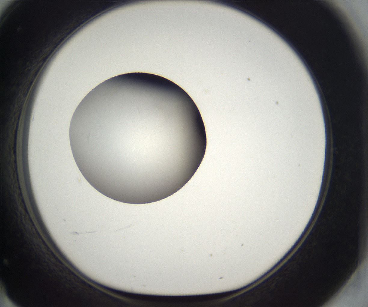 folderID296_plateID2296_batchID10852_wellNum71_profileID1_d1_r161492_ef.jpg