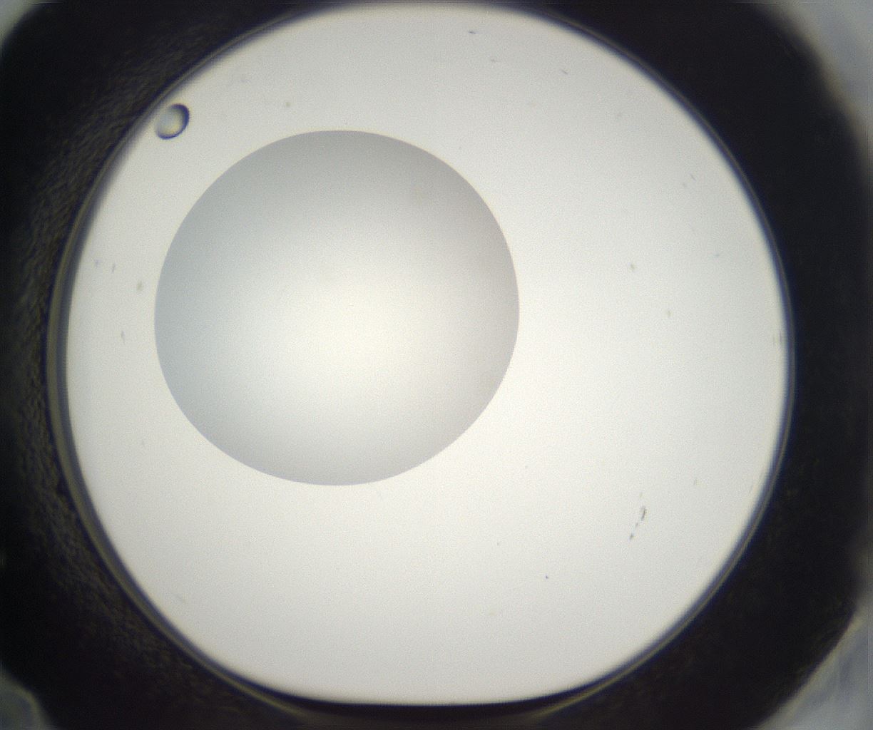 folderID296_plateID2296_batchID10852_wellNum72_profileID1_d1_r161493_ef.jpg
