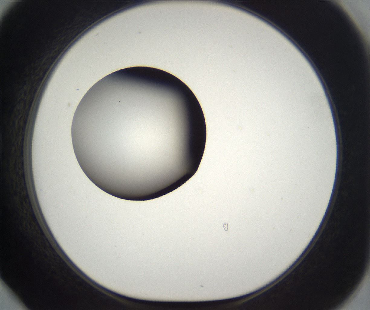 folderID296_plateID2296_batchID10852_wellNum78_profileID1_d1_r161499_ef.jpg