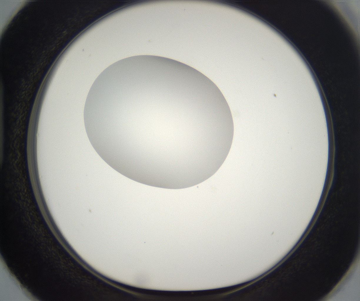 folderID296_plateID2296_batchID10852_wellNum87_profileID1_d1_r161508_ef.jpg