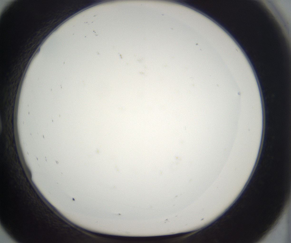folderID296_plateID2296_batchID10852_wellNum8_profileID1_d1_r161429_ef.jpg