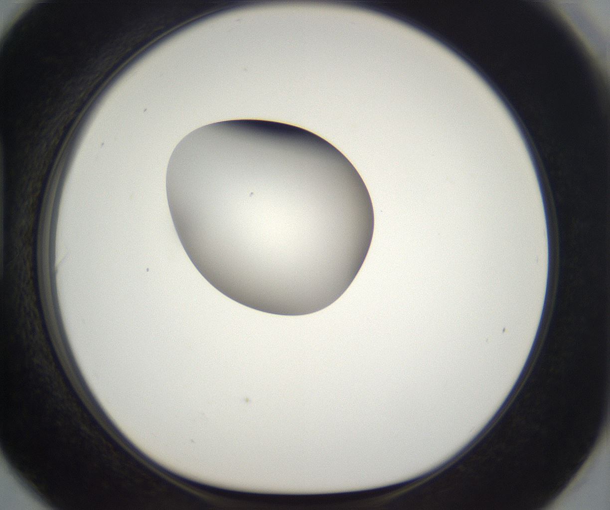folderID296_plateID2296_batchID10852_wellNum90_profileID1_d1_r161511_ef.jpg