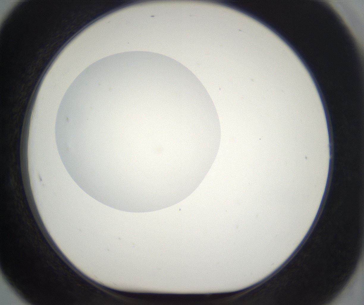 folderID296_plateID2296_batchID10852_wellNum91_profileID1_d1_r161512_ef.jpg