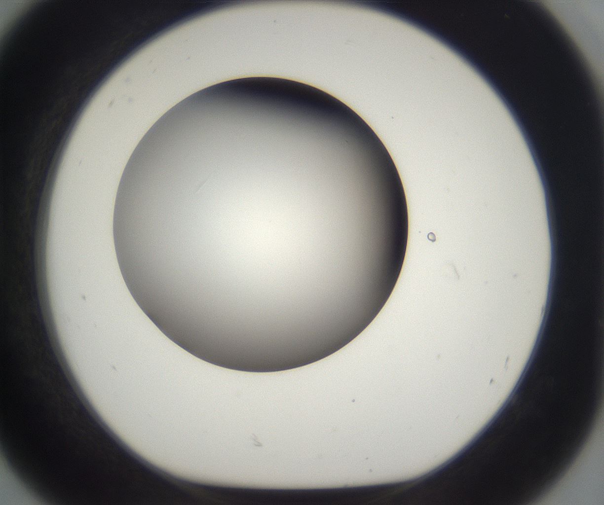 folderID296_plateID2296_batchID10852_wellNum92_profileID1_d1_r161513_ef.jpg