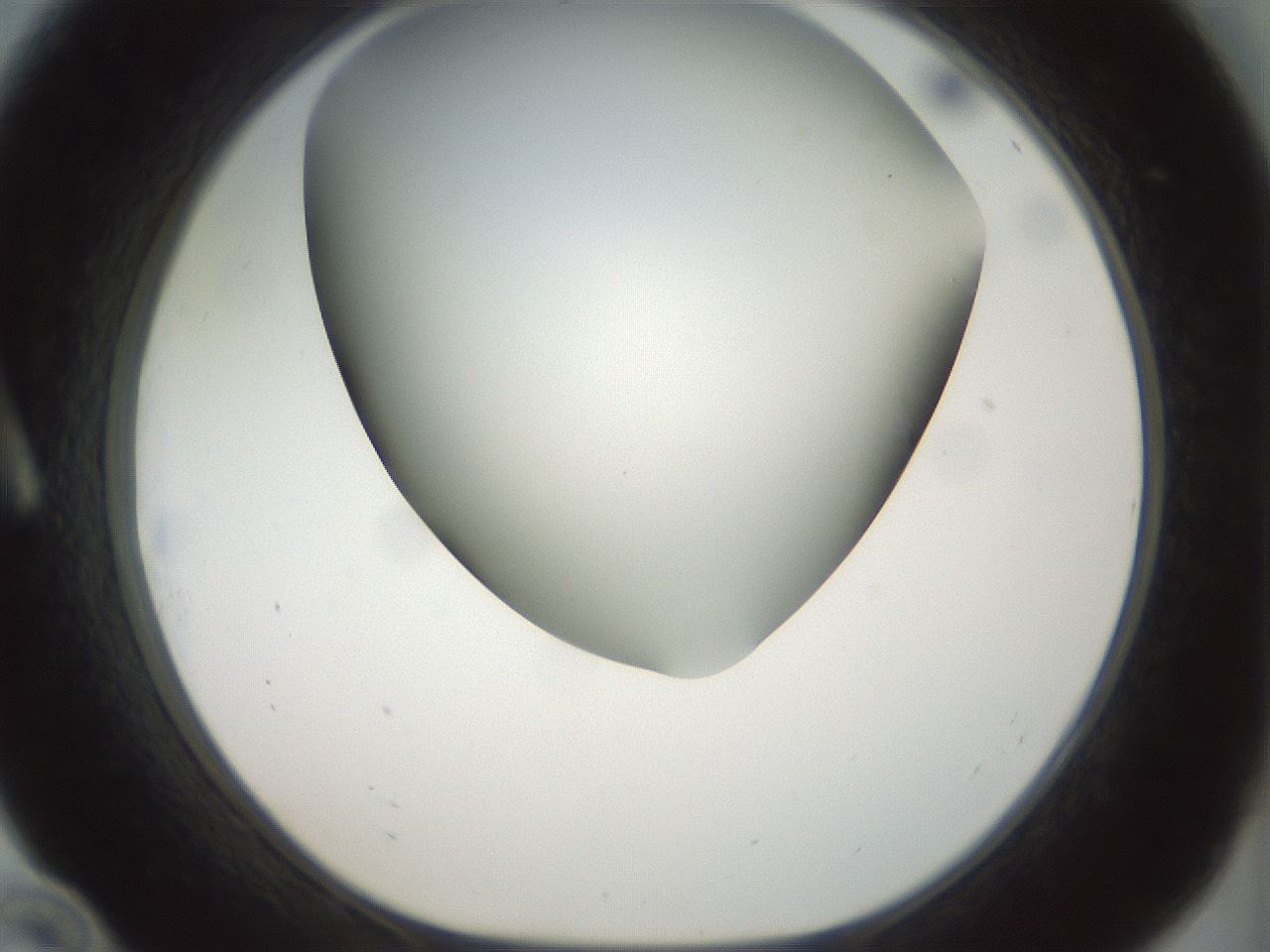 folderID297_plateID1297_batchID4295_wellNum10_profileID1_d1_r78017_ef.jpg