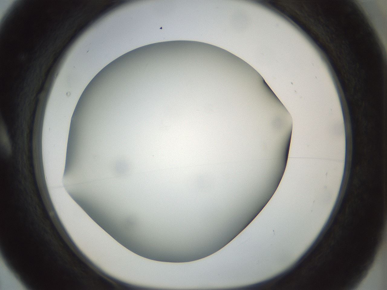folderID297_plateID1297_batchID4295_wellNum5_profileID1_d1_r78012_ef.jpg