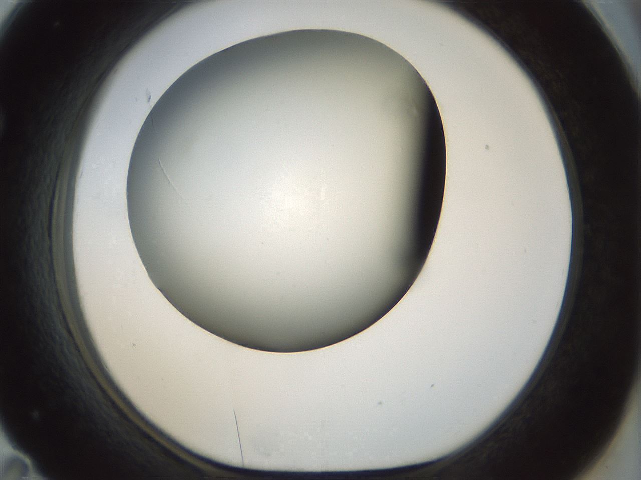 folderID297_plateID1297_batchID4295_wellNum71_profileID1_d1_r78078_ef.jpg