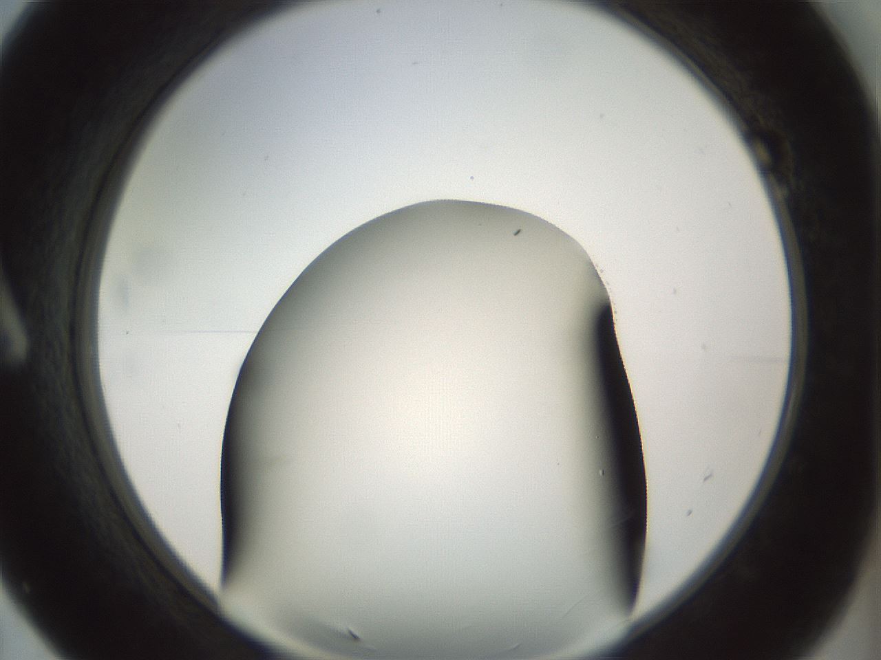 folderID297_plateID1297_batchID4295_wellNum7_profileID1_d1_r78014_ef.jpg