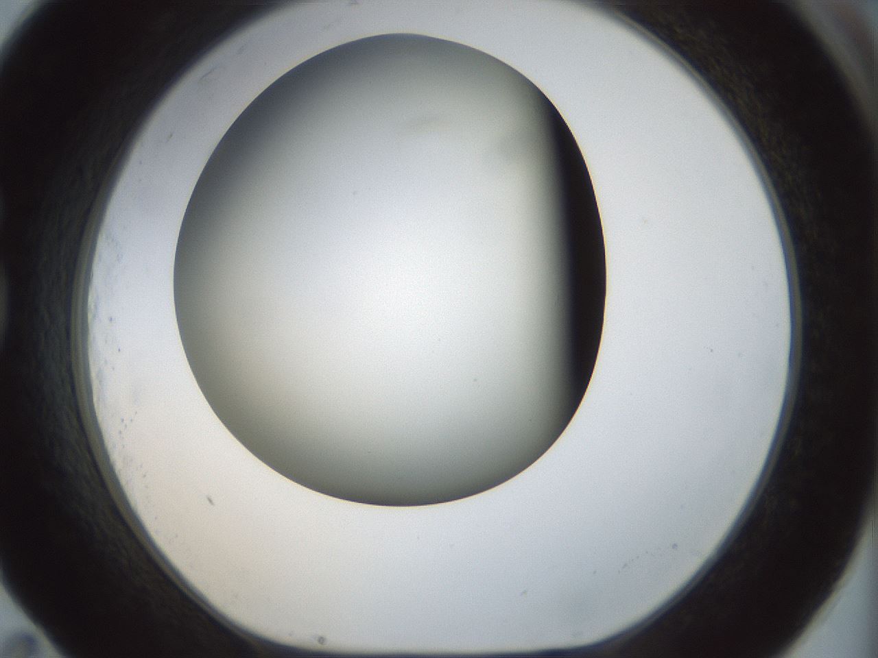 folderID297_plateID1297_batchID4295_wellNum83_profileID1_d1_r78090_ef.jpg