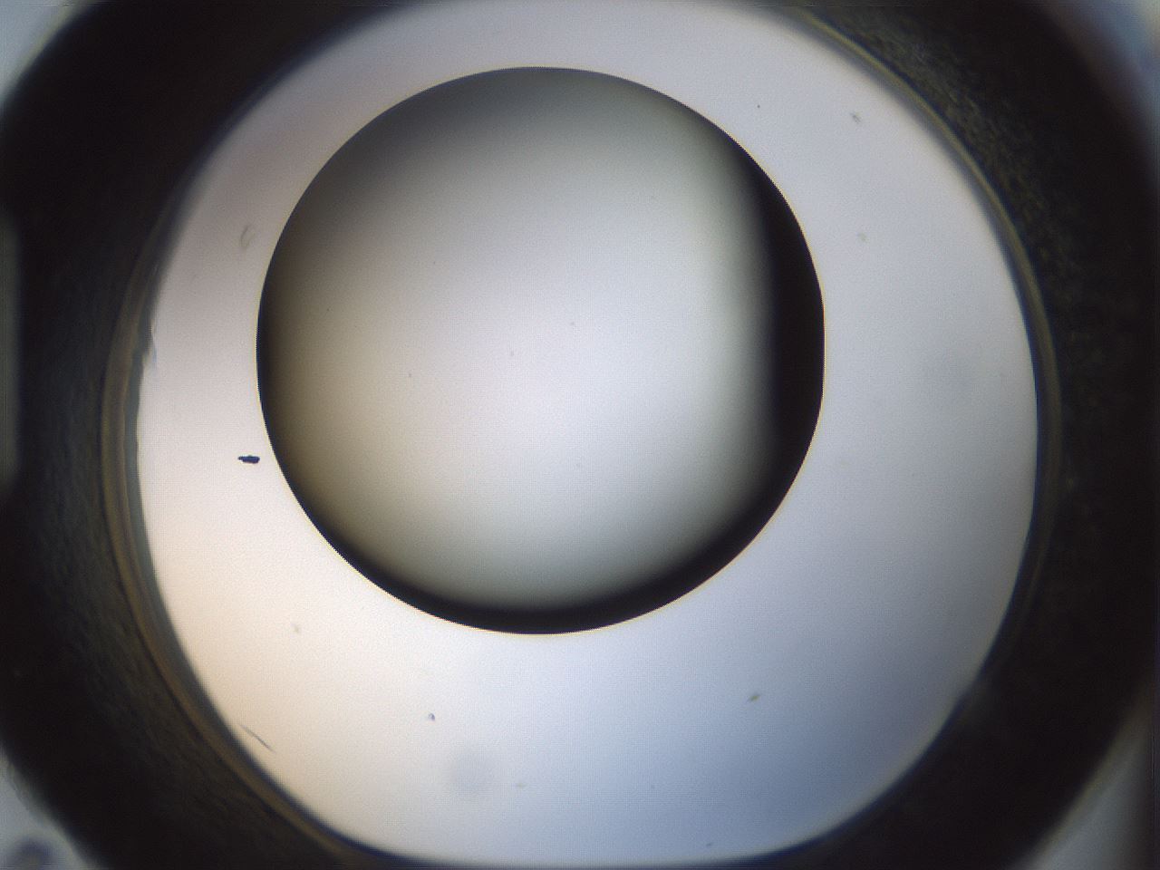 folderID297_plateID1297_batchID4295_wellNum95_profileID1_d1_r78102_ef.jpg