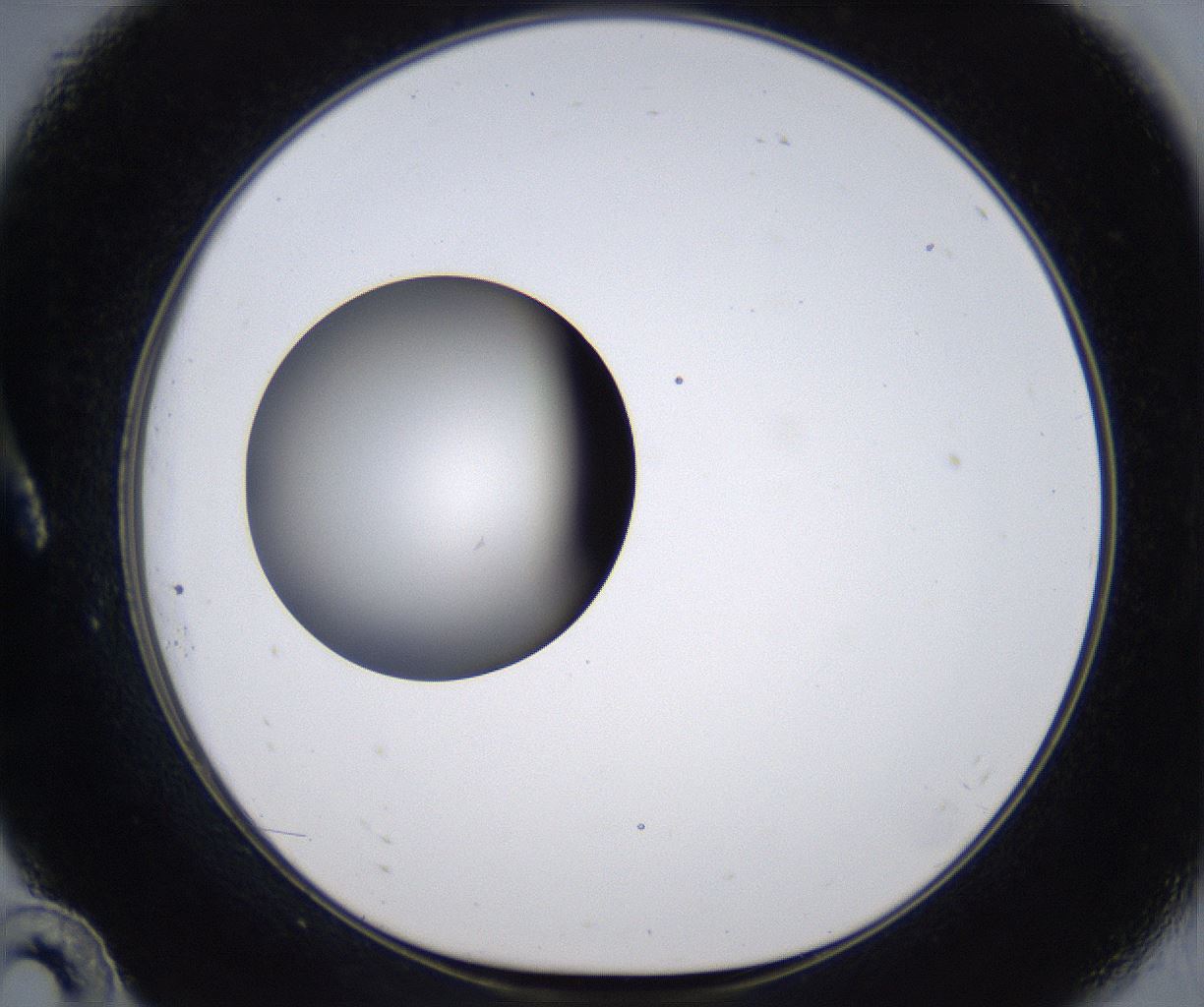 folderID297_plateID2297_batchID10839_wellNum10_profileID1_d1_r160855_ef.jpg