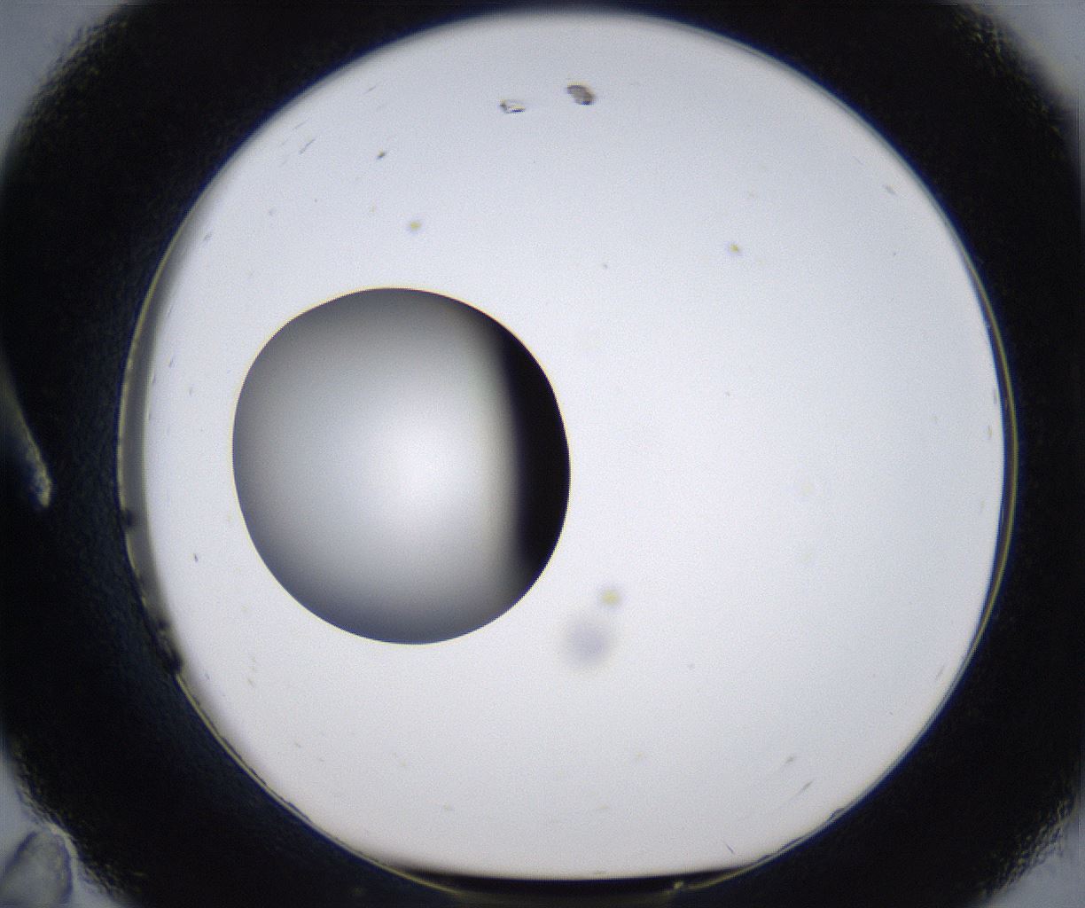 folderID297_plateID2297_batchID10839_wellNum11_profileID1_d1_r160856_ef.jpg