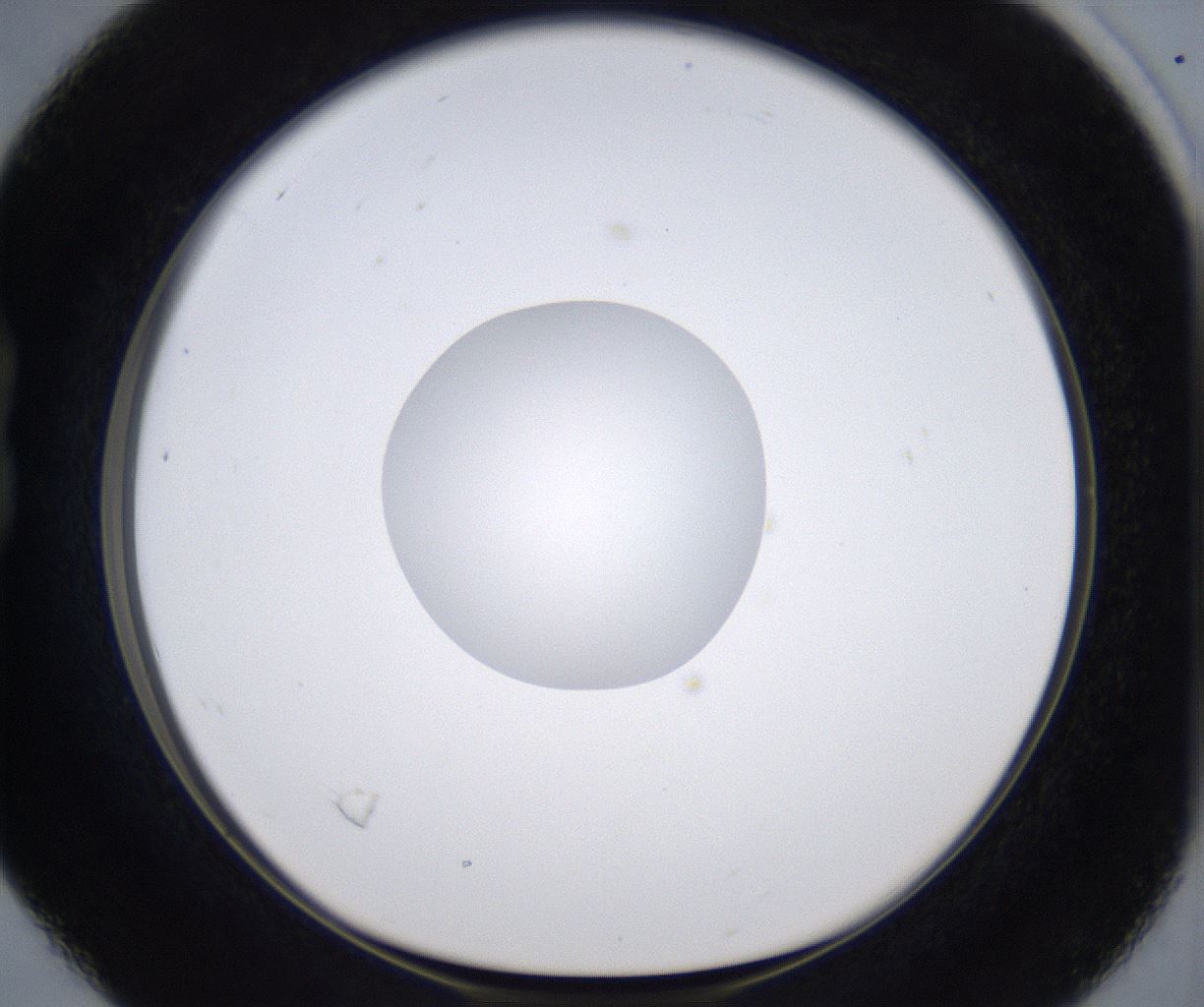 folderID297_plateID2297_batchID10839_wellNum16_profileID1_d1_r160861_ef.jpg