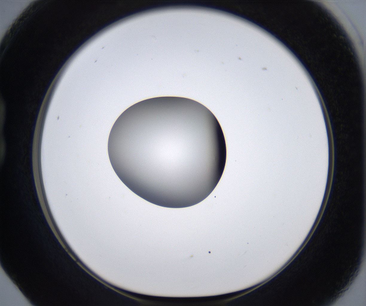 folderID297_plateID2297_batchID10839_wellNum17_profileID1_d1_r160862_ef.jpg