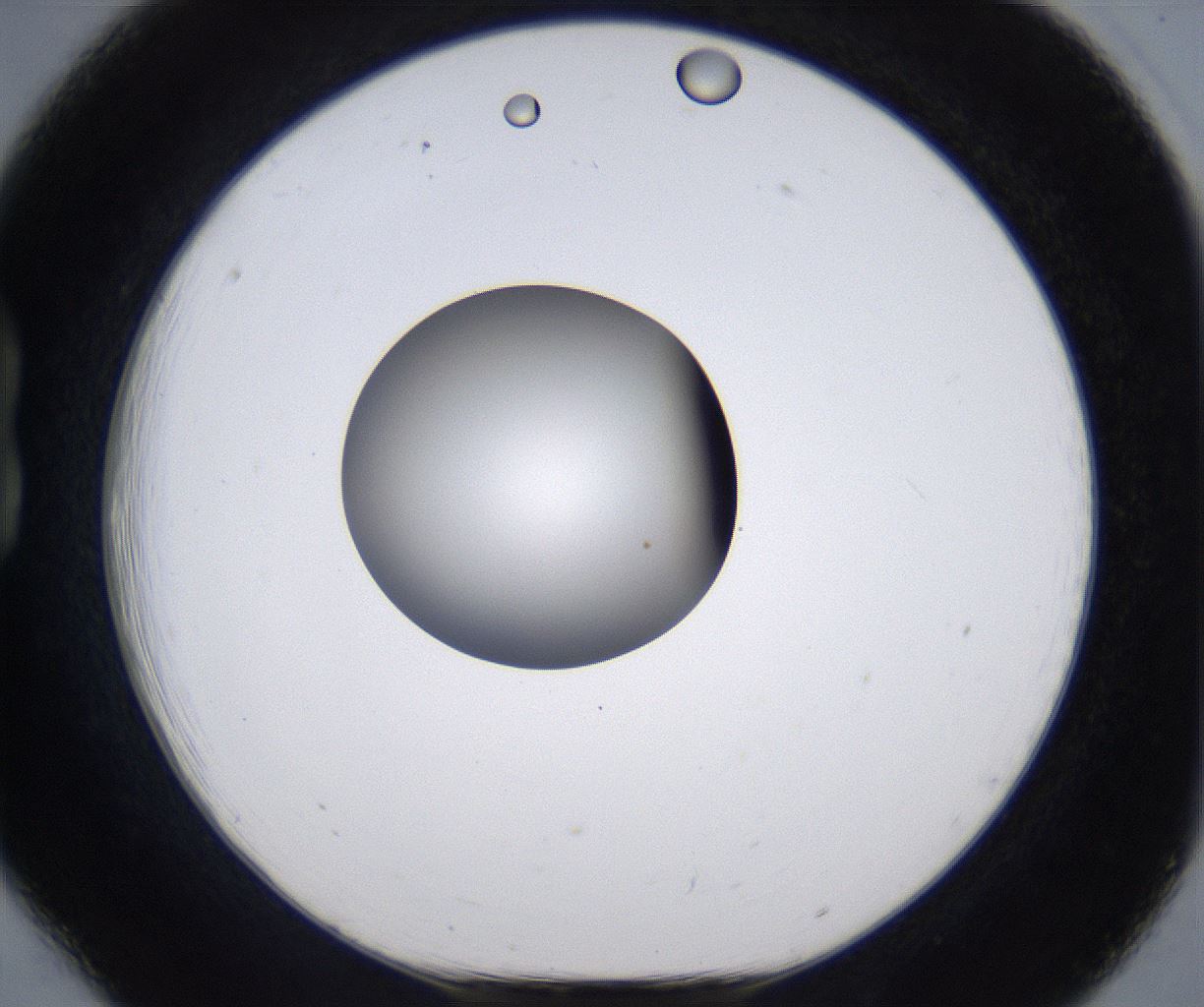 folderID297_plateID2297_batchID10839_wellNum18_profileID1_d1_r160863_ef.jpg