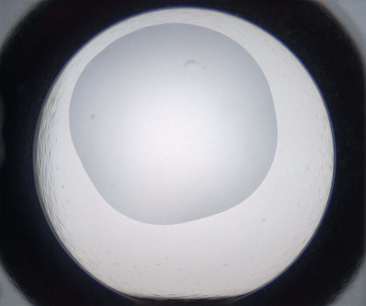 folderID297_plateID2297_batchID10839_wellNum19_profileID1_d1_r160864_ef.jpg