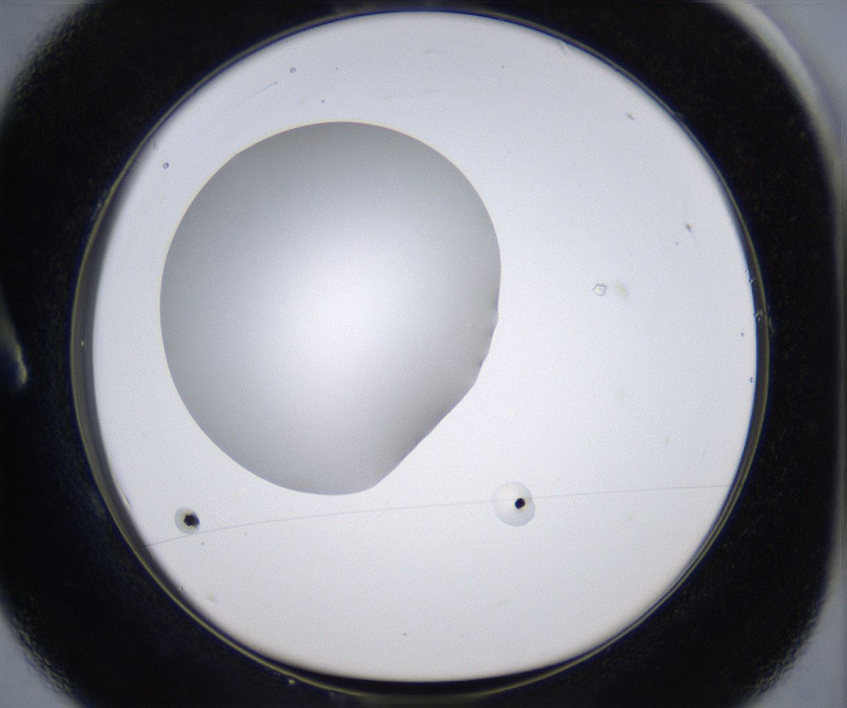 folderID297_plateID2297_batchID10839_wellNum1_profileID1_d1_r160846_ef.jpg