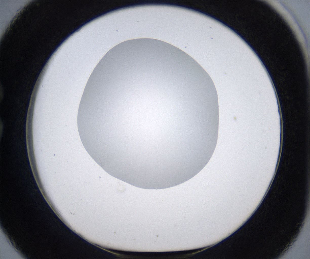folderID297_plateID2297_batchID10839_wellNum26_profileID1_d1_r160871_ef.jpg