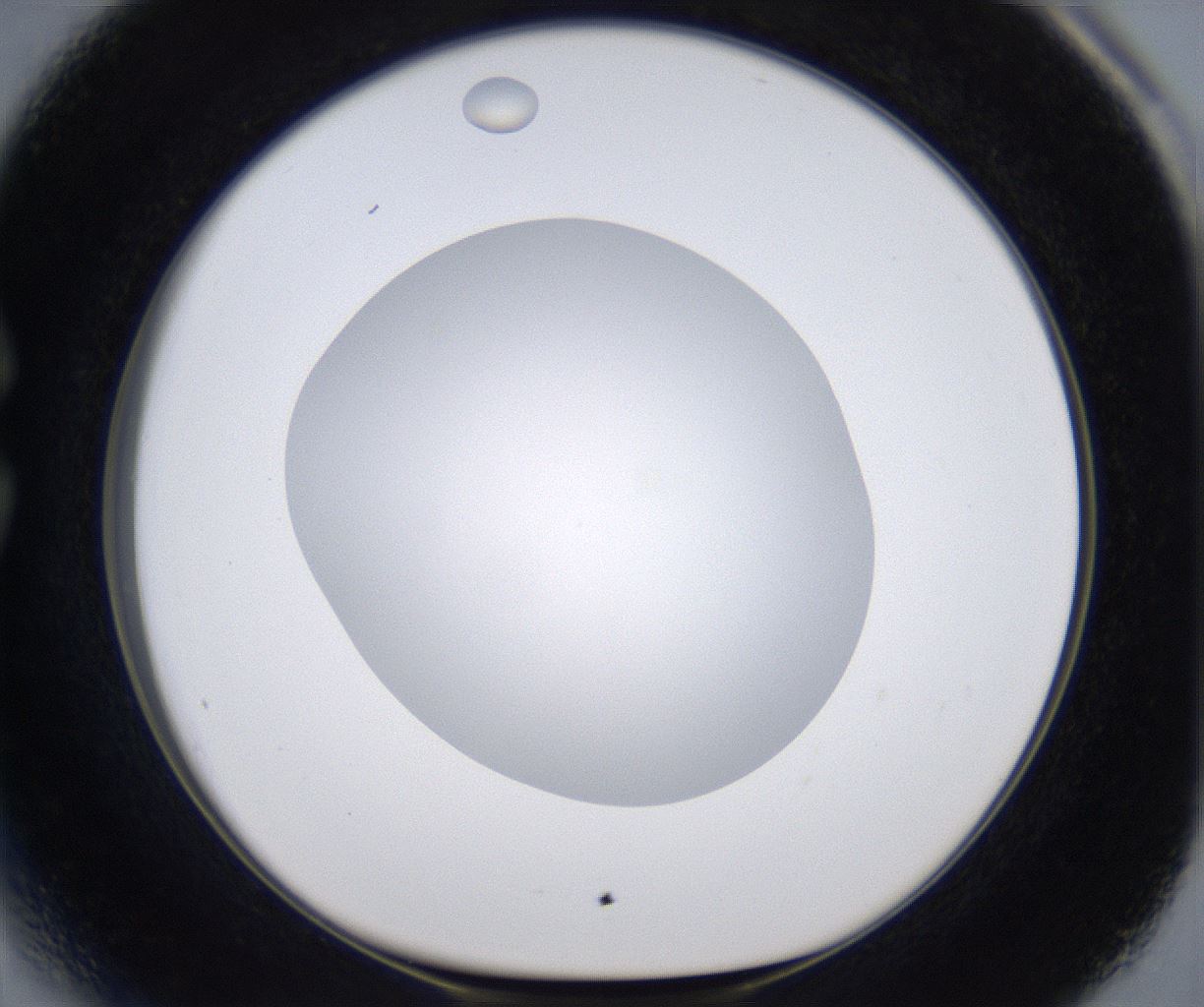 folderID297_plateID2297_batchID10839_wellNum27_profileID1_d1_r160872_ef.jpg