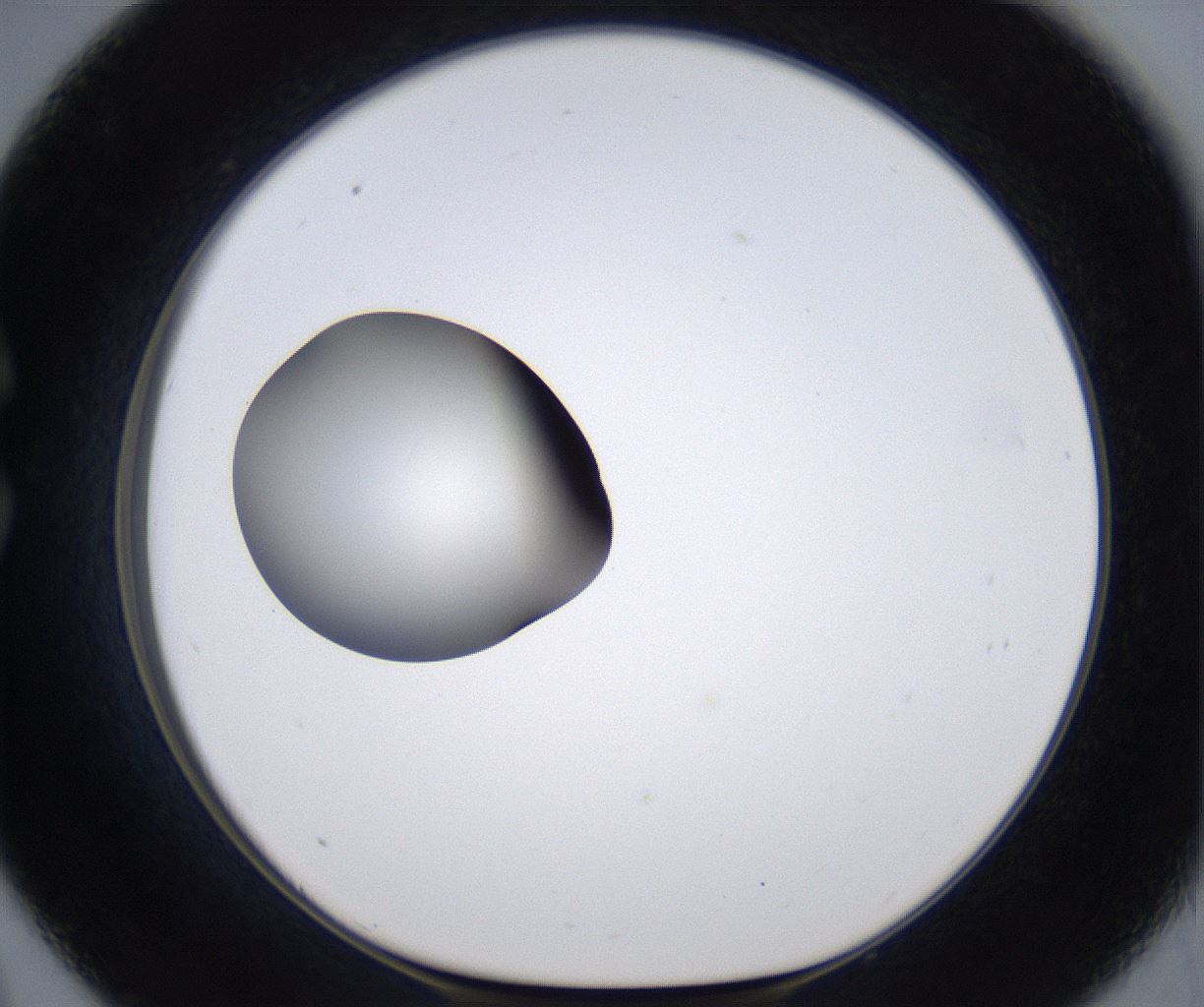 folderID297_plateID2297_batchID10839_wellNum33_profileID1_d1_r160878_ef.jpg