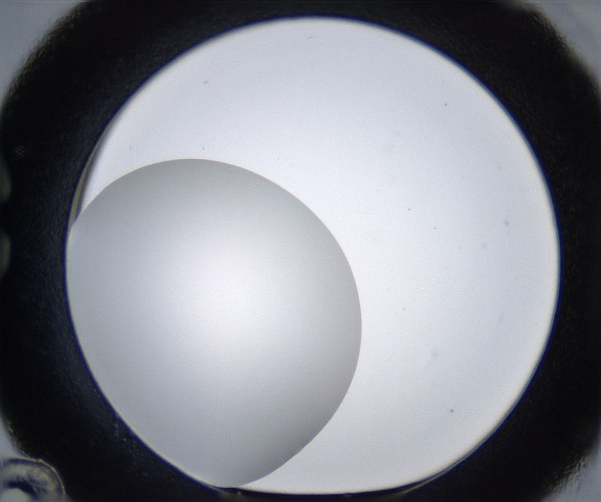 folderID297_plateID2297_batchID10839_wellNum36_profileID1_d1_r160881_ef.jpg