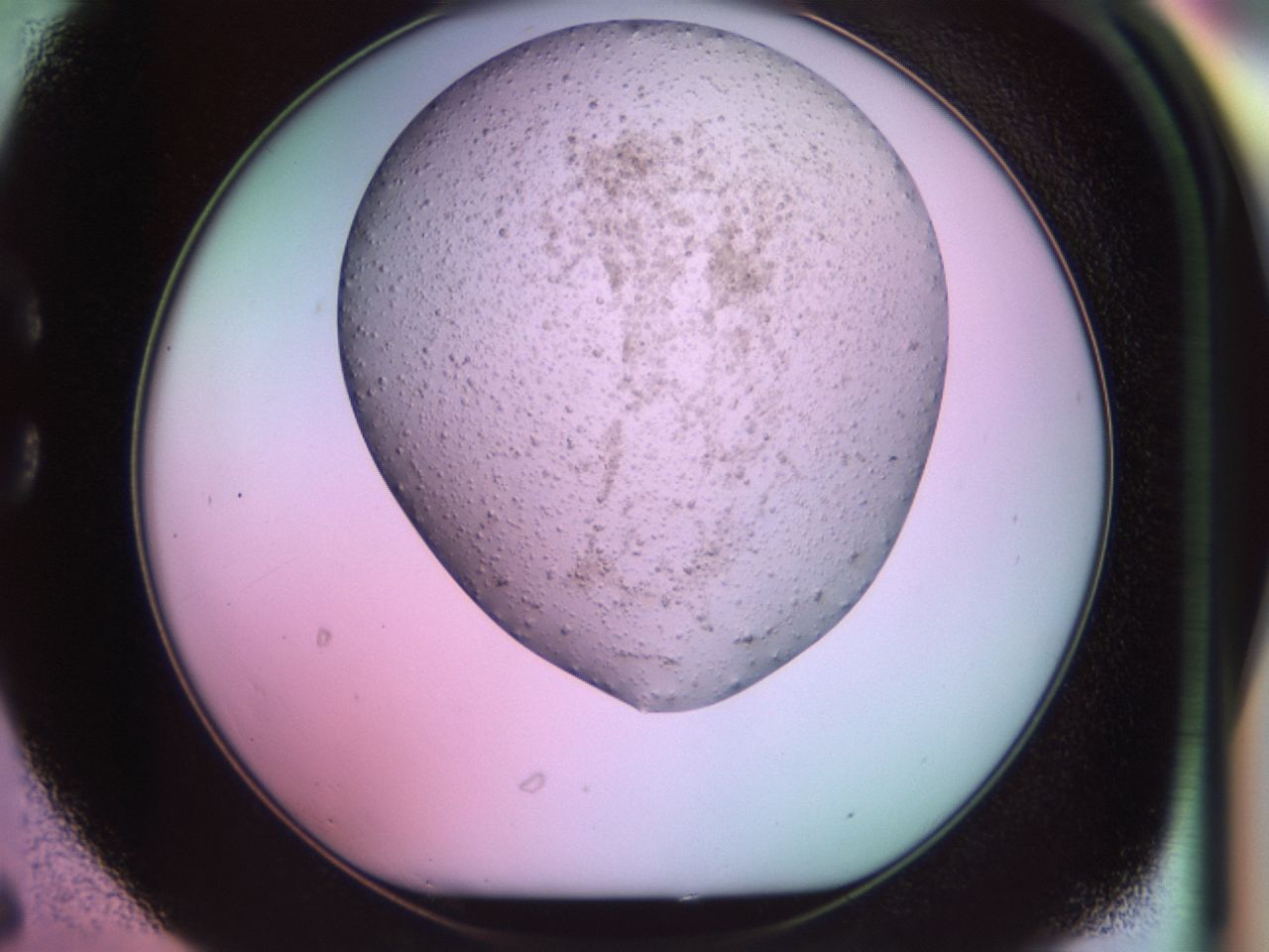 02k9_C6_ImagerDefaults_6.jpg