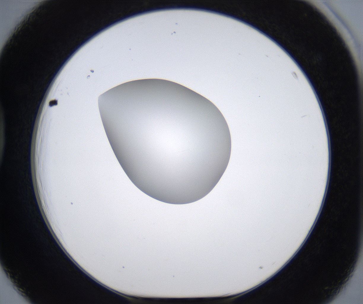 folderID297_plateID2297_batchID10839_wellNum39_profileID1_d1_r160884_ef.jpg
