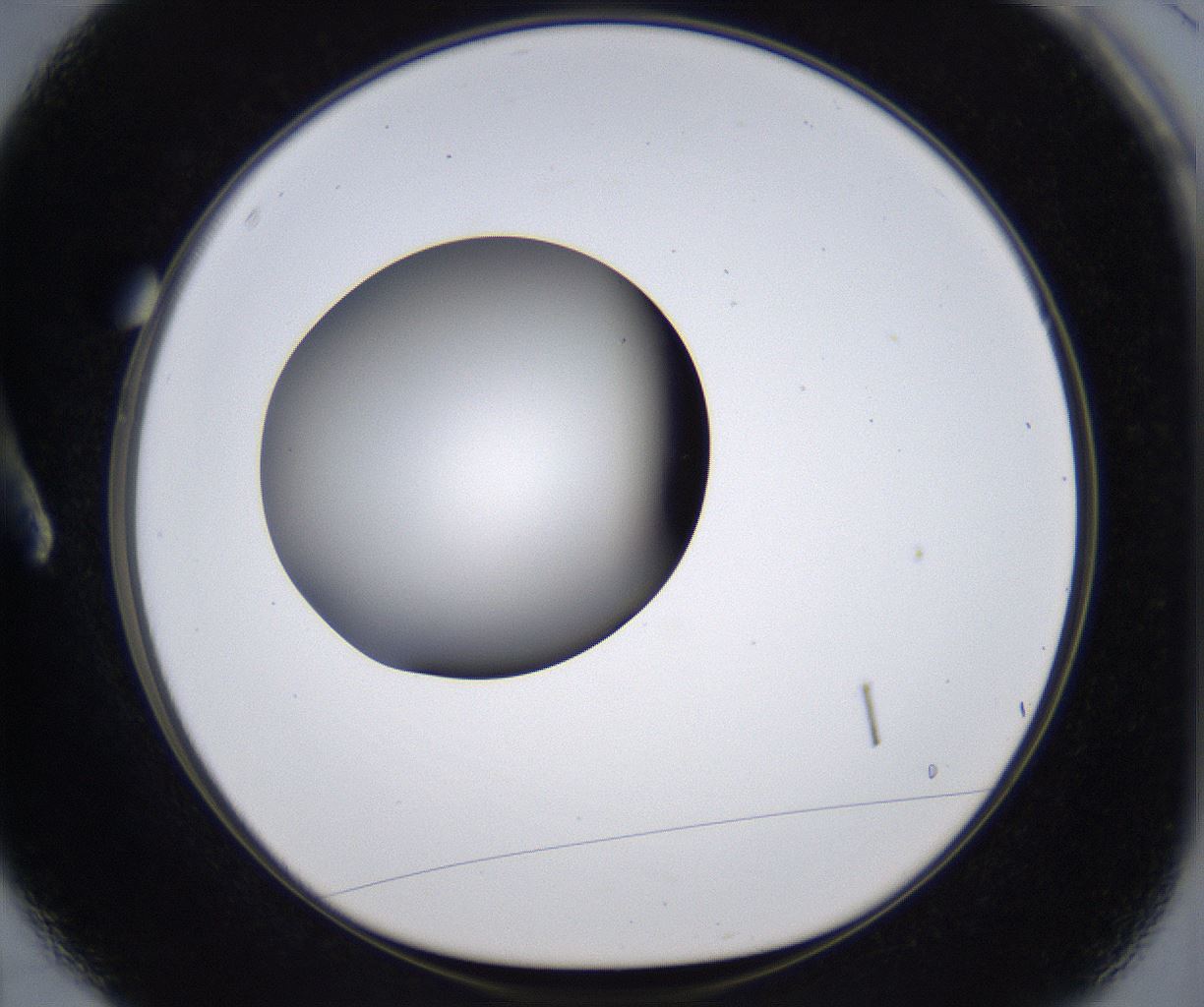 folderID297_plateID2297_batchID10839_wellNum3_profileID1_d1_r160848_ef.jpg