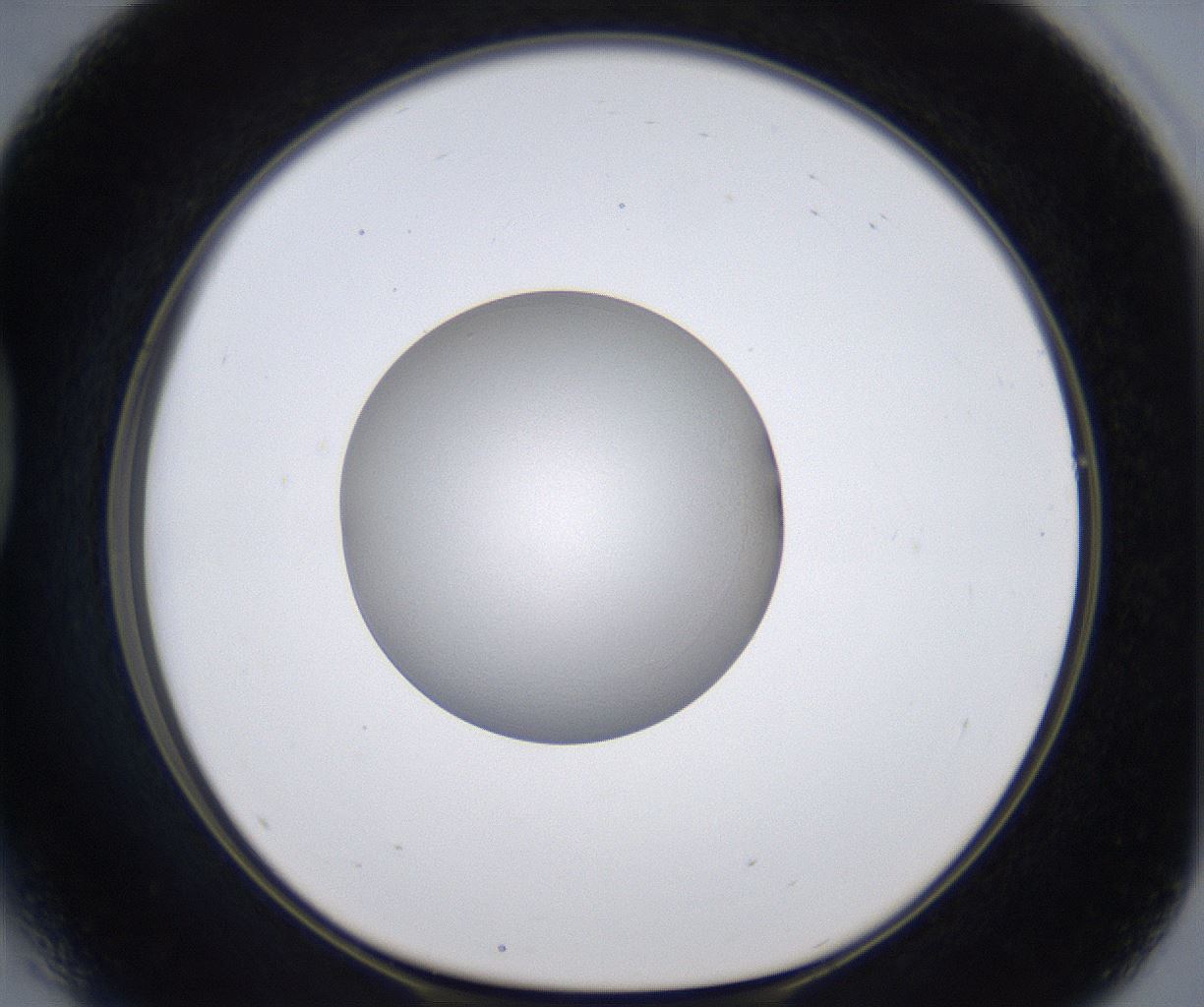 folderID297_plateID2297_batchID10839_wellNum41_profileID1_d1_r160886_ef.jpg