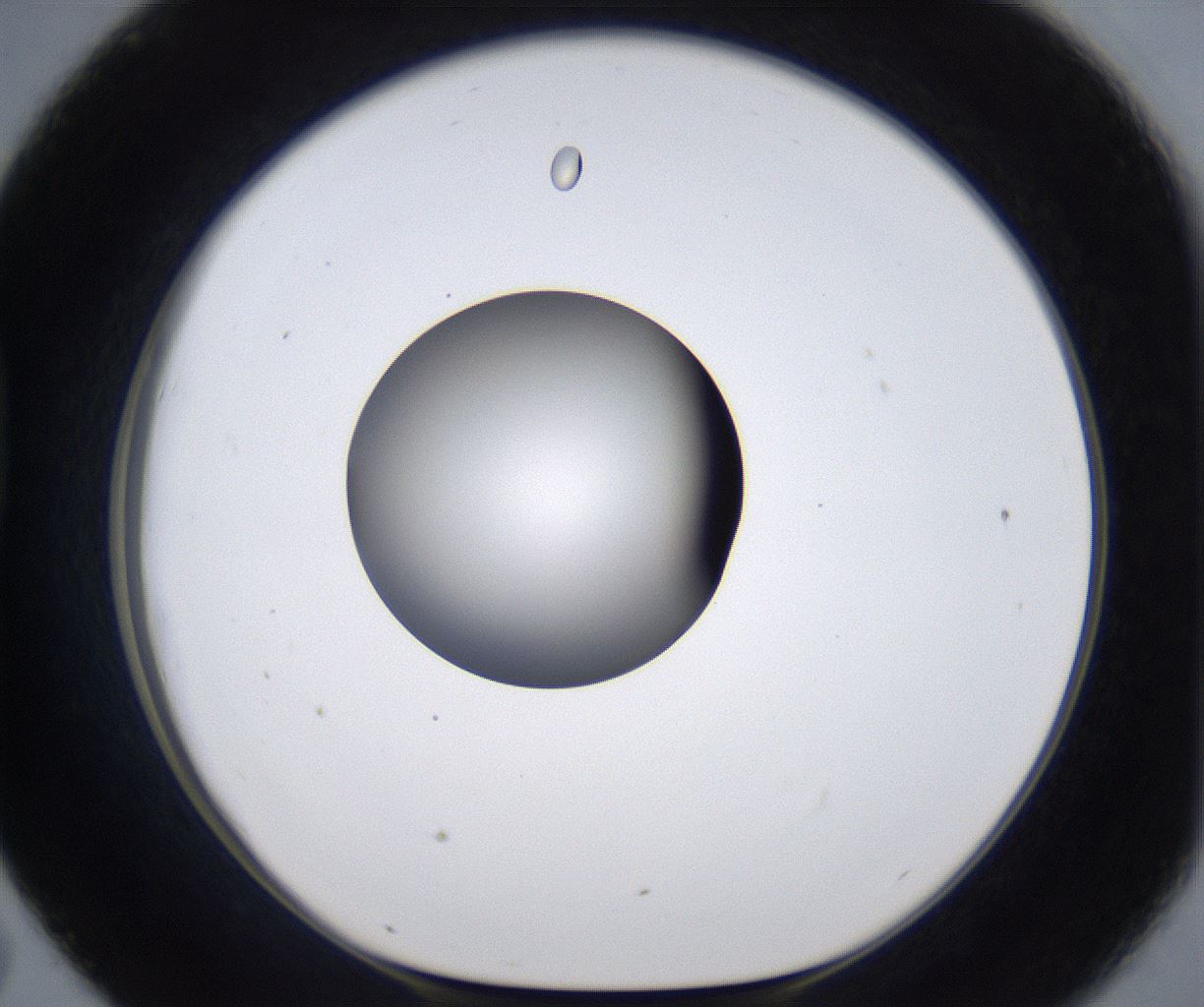 folderID297_plateID2297_batchID10839_wellNum43_profileID1_d1_r160888_ef.jpg