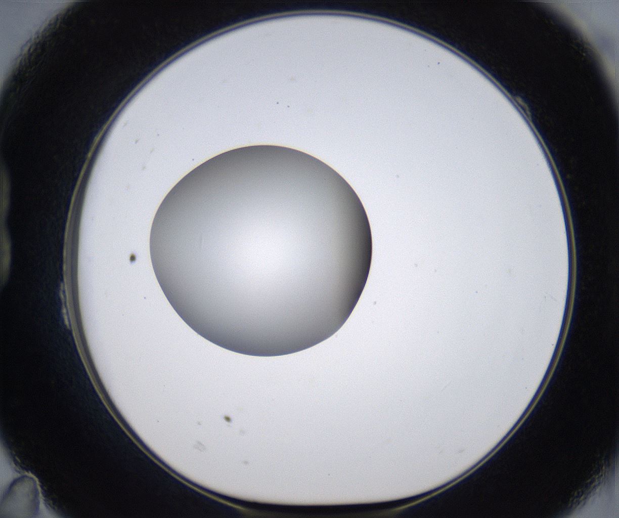 folderID297_plateID2297_batchID10839_wellNum23_profileID1_d1_r160868_ef.jpg