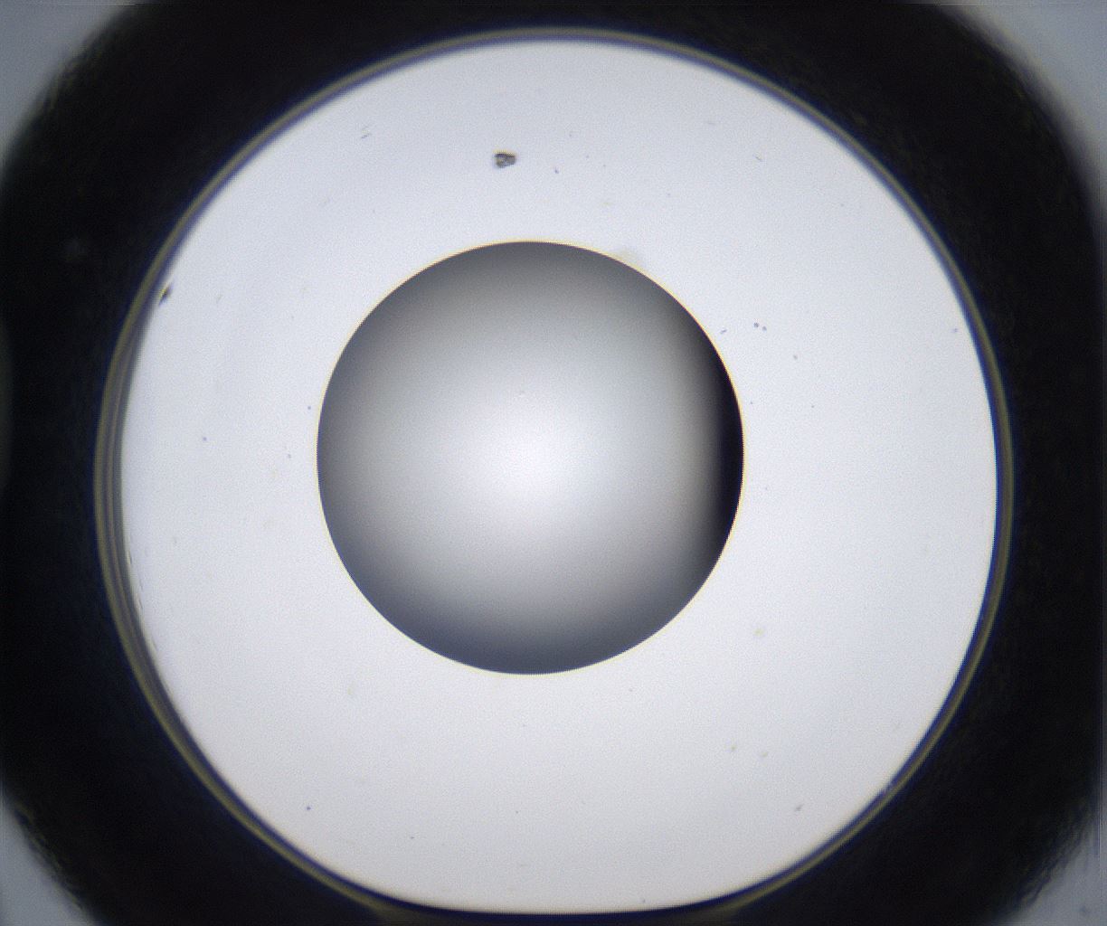 folderID297_plateID2297_batchID10839_wellNum44_profileID1_d1_r160889_ef.jpg