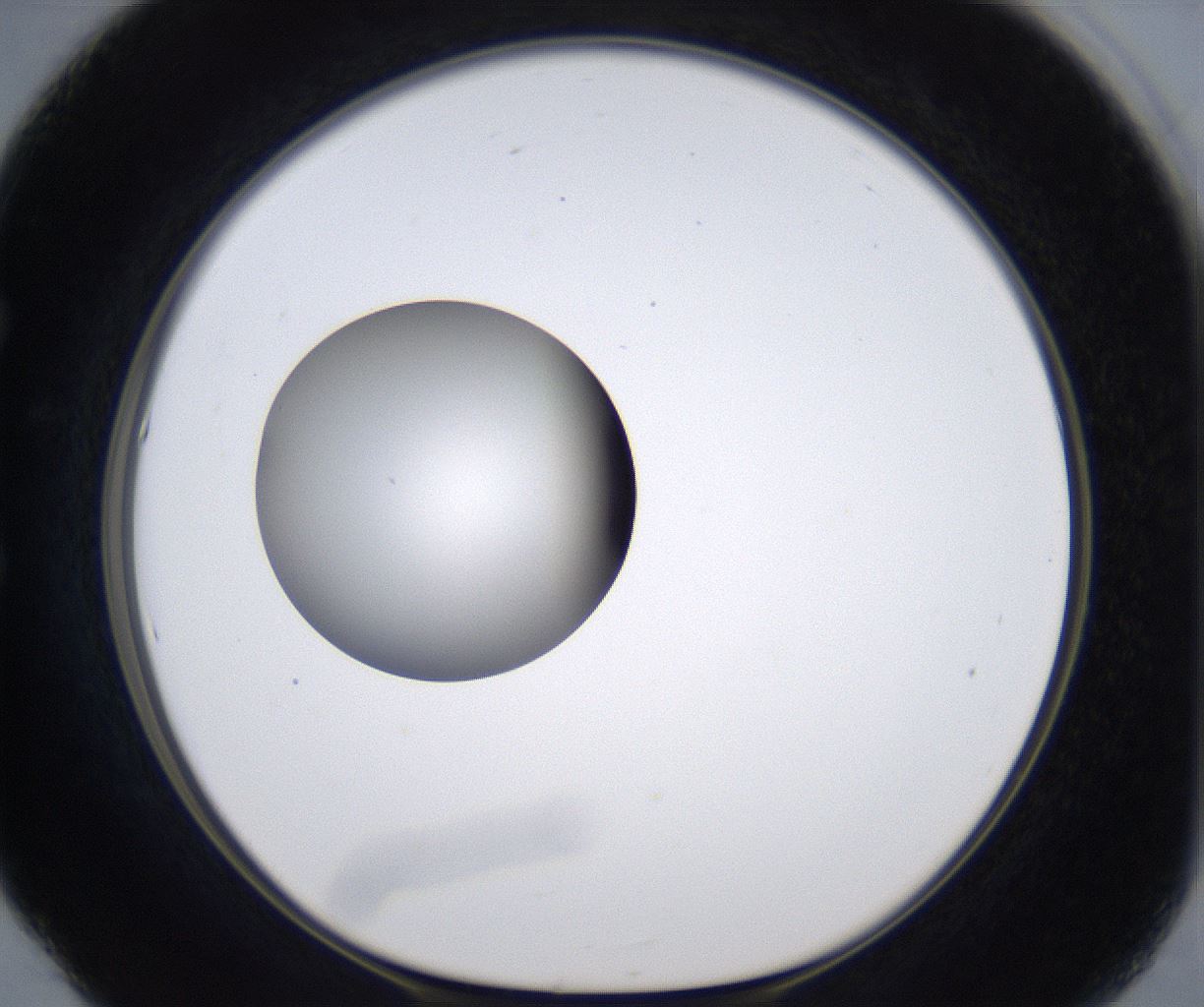 folderID297_plateID2297_batchID10839_wellNum53_profileID1_d1_r160898_ef.jpg