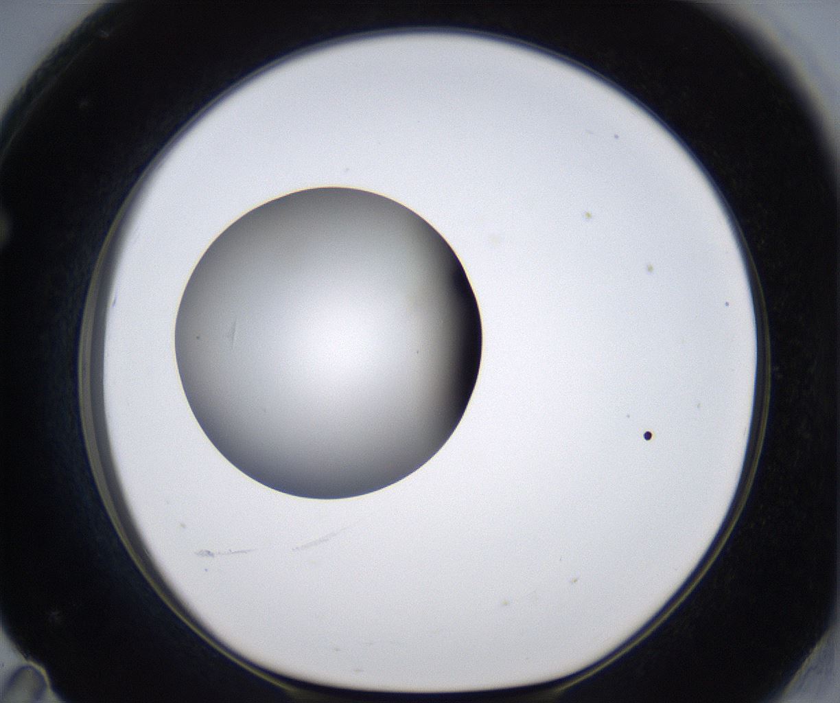 folderID297_plateID2297_batchID10839_wellNum71_profileID1_d1_r160916_ef.jpg