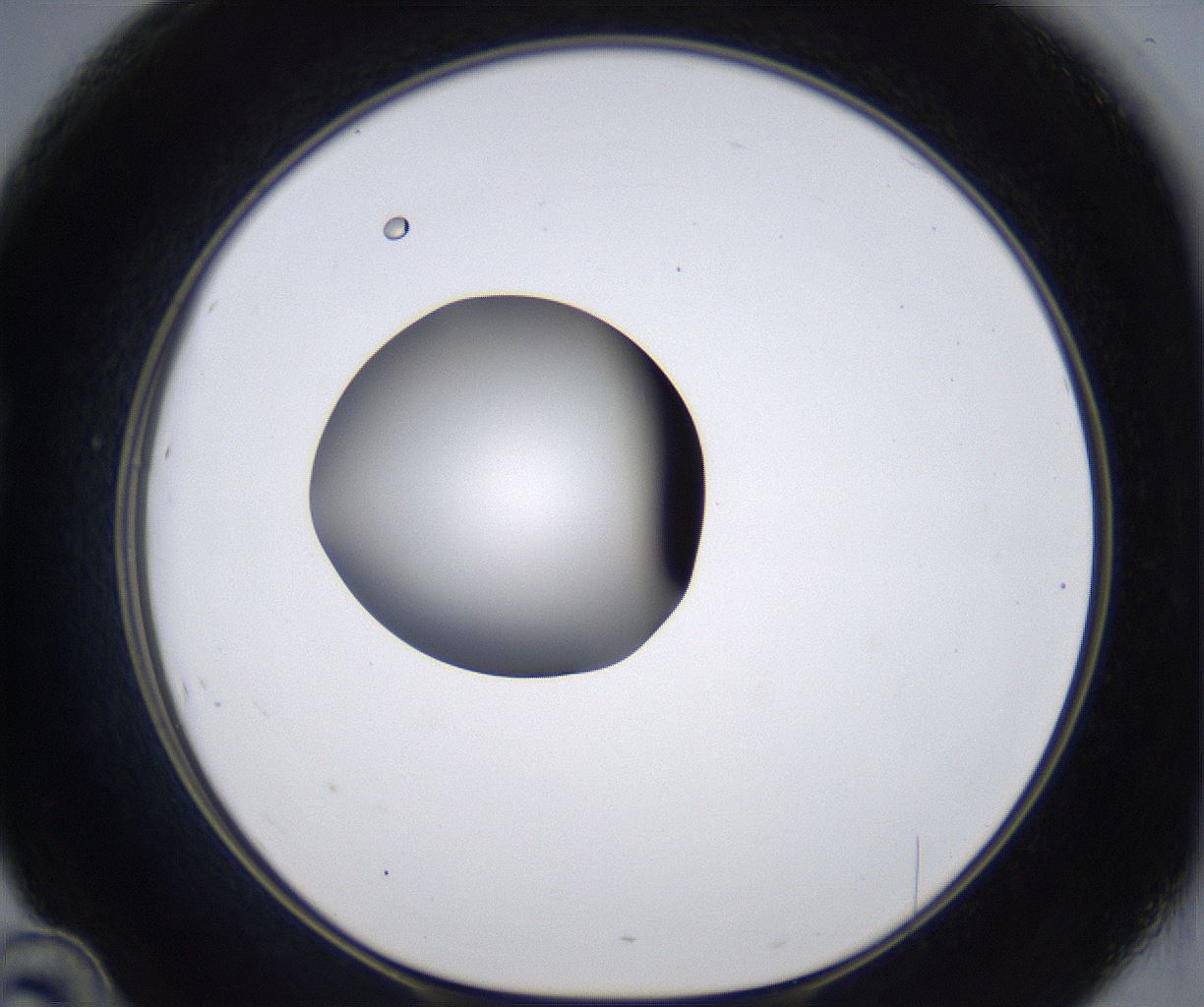 folderID297_plateID2297_batchID10839_wellNum46_profileID1_d1_r160891_ef.jpg