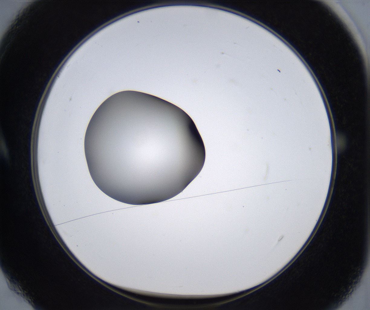 folderID297_plateID2297_batchID10839_wellNum4_profileID1_d1_r160849_ef.jpg