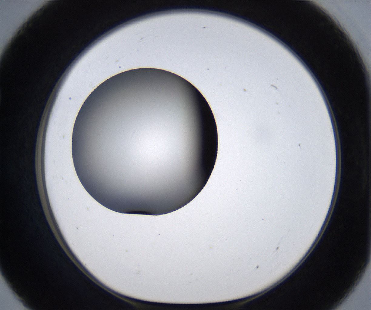 folderID297_plateID2297_batchID10839_wellNum55_profileID1_d1_r160900_ef.jpg