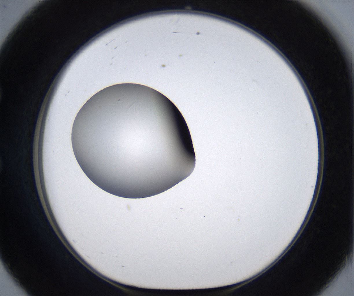folderID297_plateID2297_batchID10839_wellNum56_profileID1_d1_r160901_ef.jpg