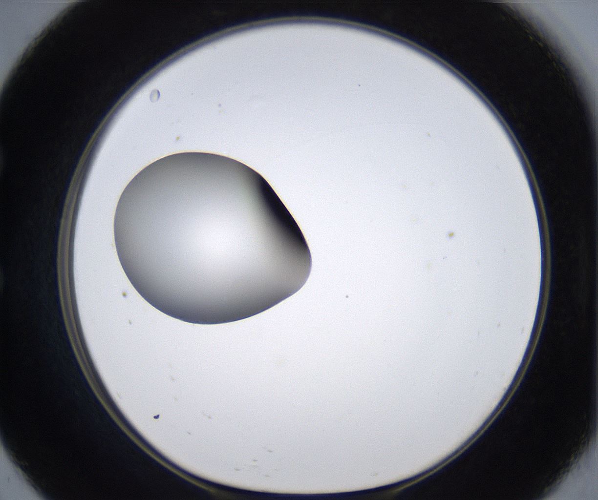 folderID297_plateID2297_batchID10839_wellNum57_profileID1_d1_r160902_ef.jpg