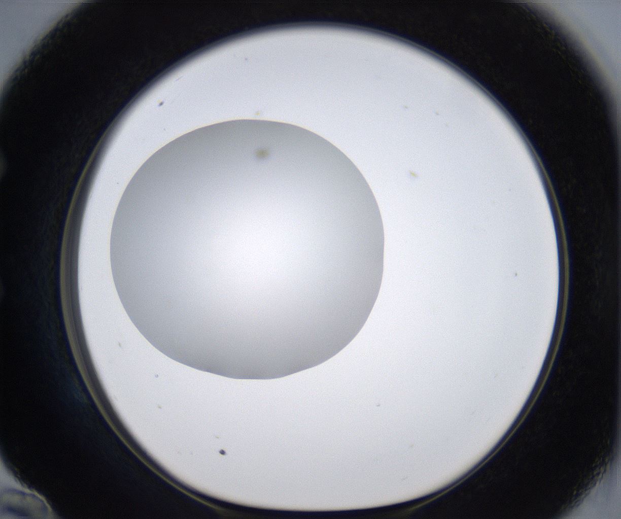 folderID297_plateID2297_batchID10839_wellNum58_profileID1_d1_r160903_ef.jpg