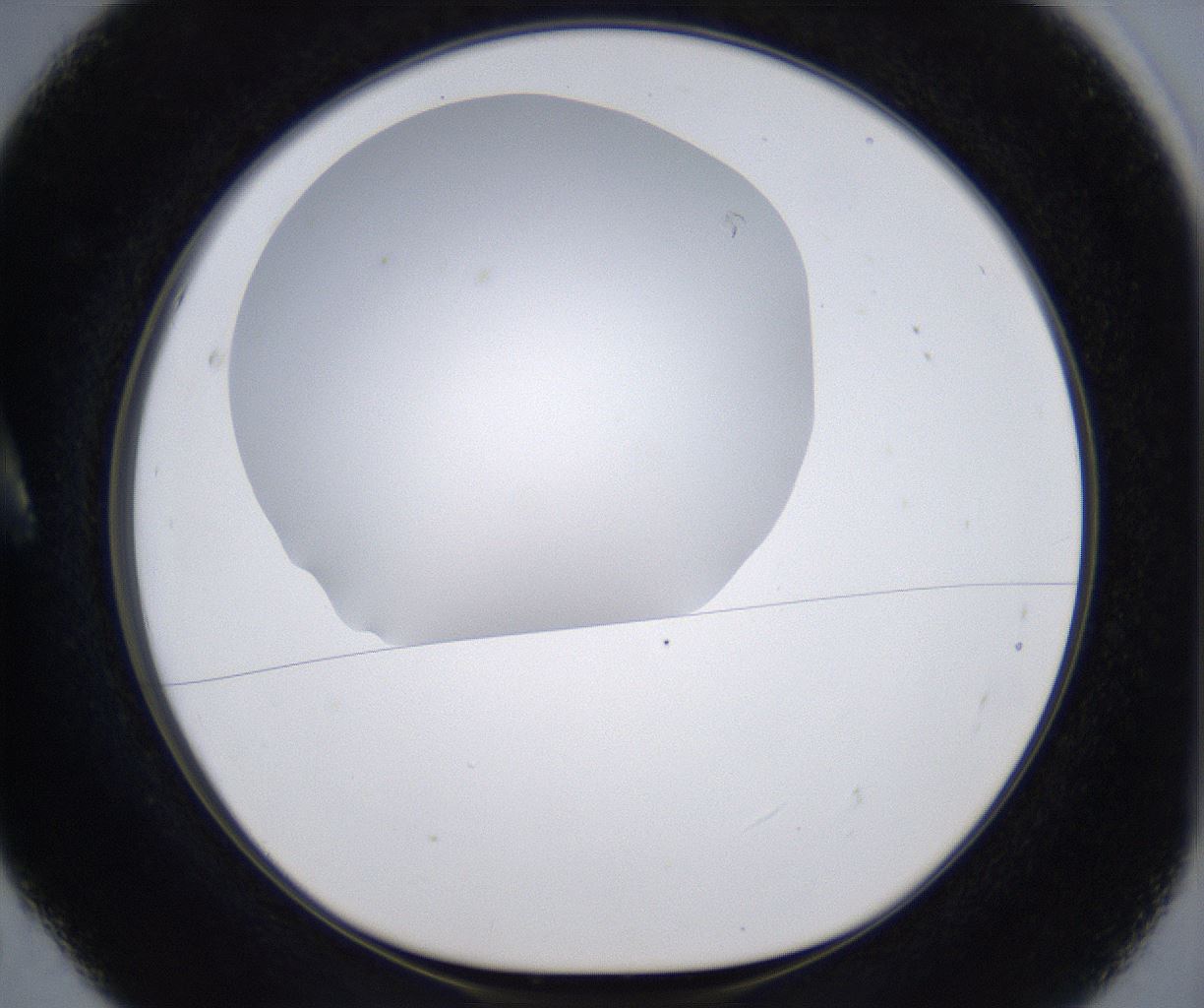 folderID297_plateID2297_batchID10839_wellNum5_profileID1_d1_r160850_ef.jpg
