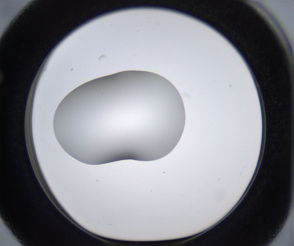 folderID297_plateID2297_batchID10839_wellNum63_profileID1_d1_r160908_ef.jpg