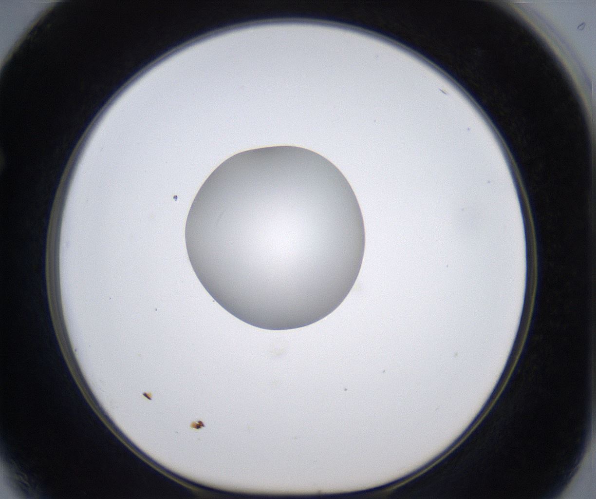 folderID297_plateID2297_batchID10839_wellNum64_profileID1_d1_r160909_ef.jpg