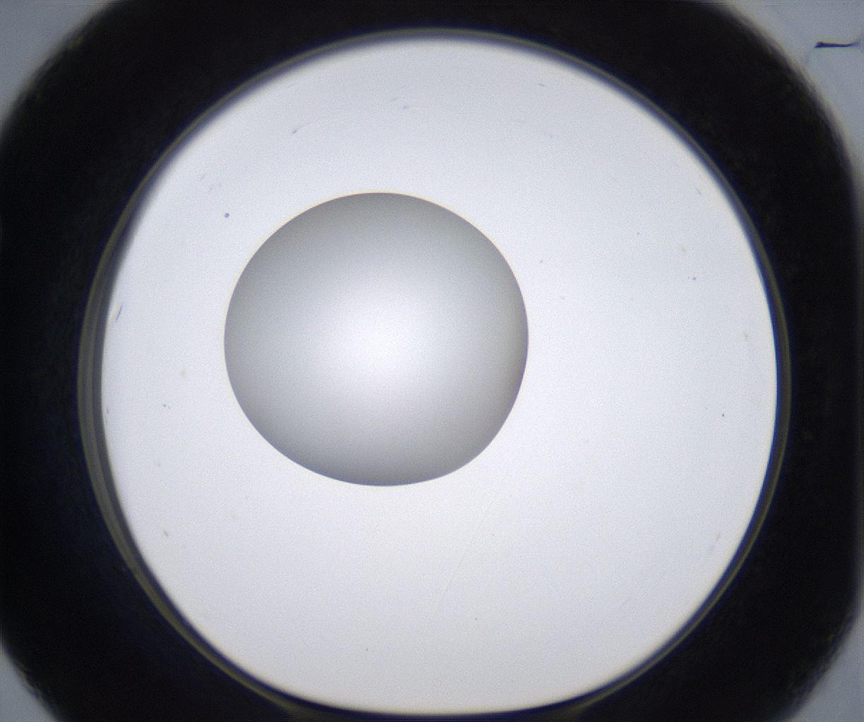 folderID297_plateID2297_batchID10839_wellNum67_profileID1_d1_r160912_ef.jpg