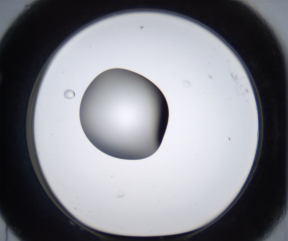 folderID297_plateID2297_batchID10839_wellNum68_profileID1_d1_r160913_ef.jpg