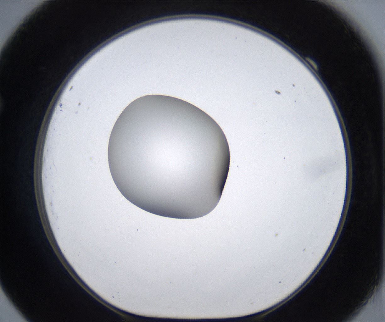 folderID297_plateID2297_batchID10839_wellNum69_profileID1_d1_r160914_ef.jpg