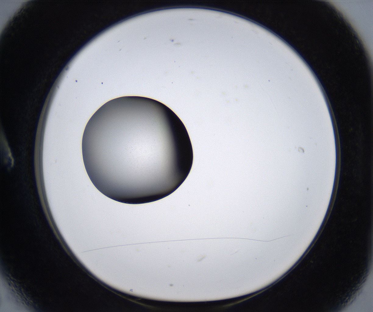 folderID297_plateID2297_batchID10839_wellNum6_profileID1_d1_r160851_ef.jpg