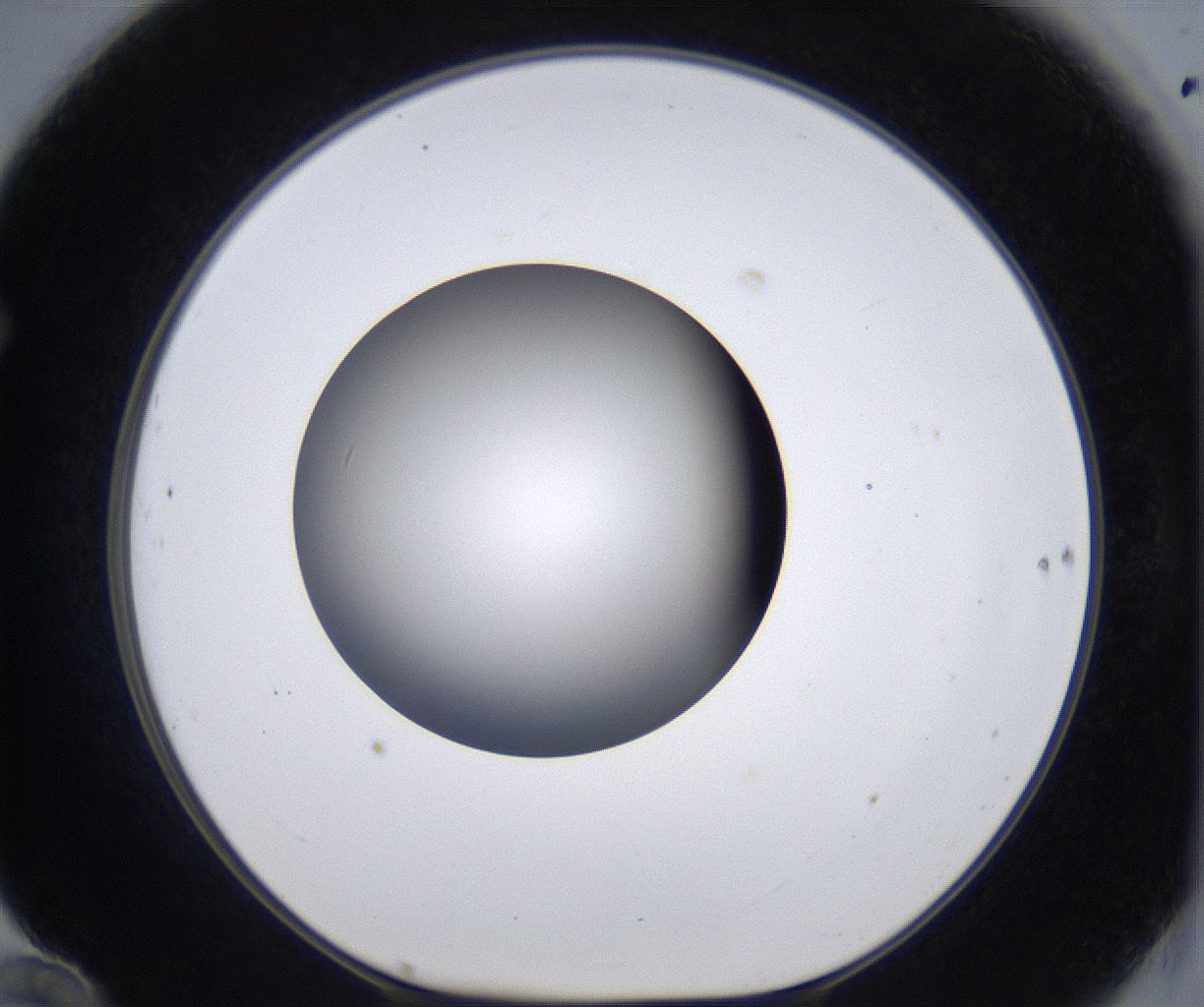 folderID297_plateID2297_batchID10839_wellNum70_profileID1_d1_r160915_ef.jpg