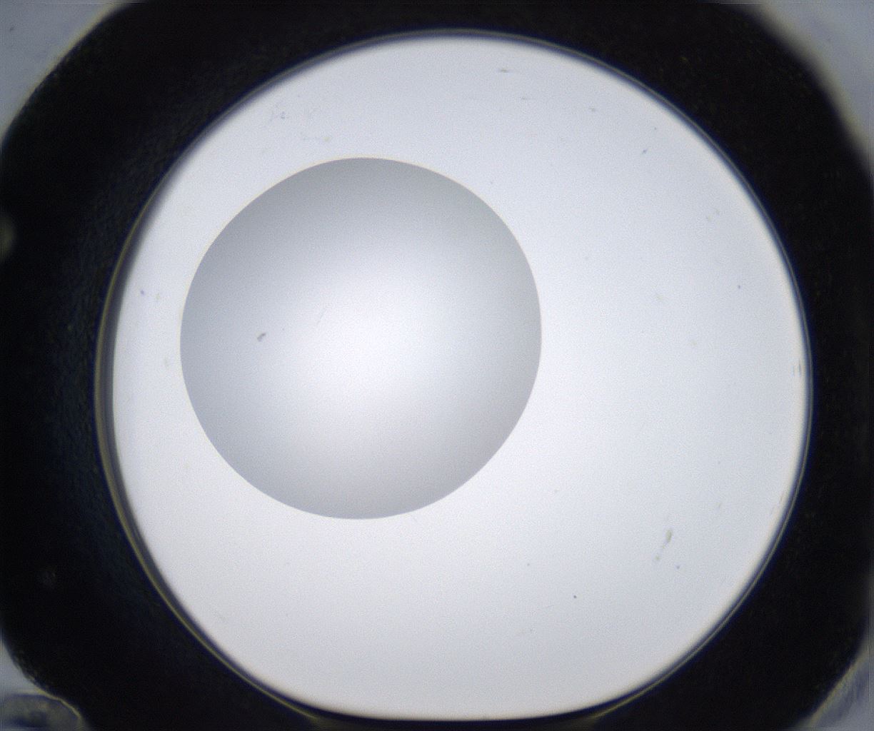 folderID297_plateID2297_batchID10839_wellNum72_profileID1_d1_r160917_ef.jpg